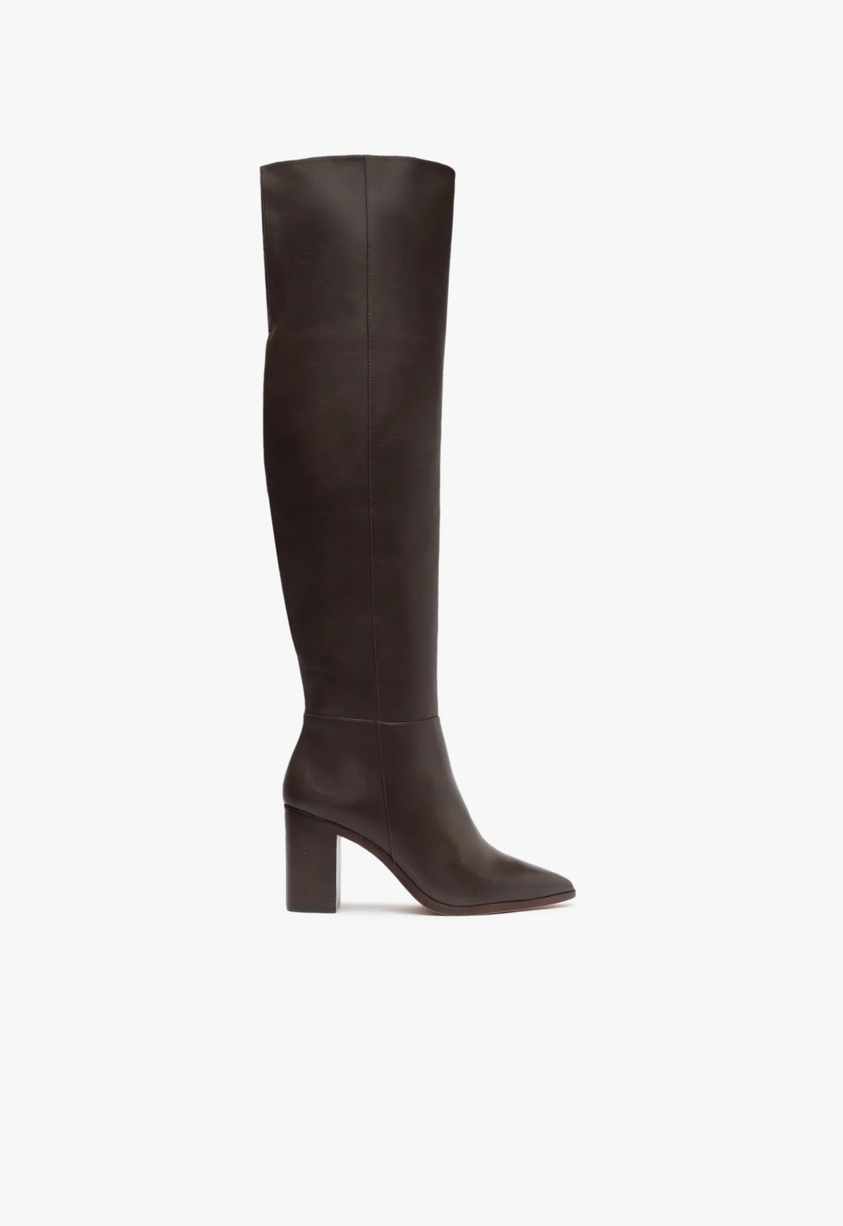 Magali Block Over the Knee Leather Boot – SCHUTZ