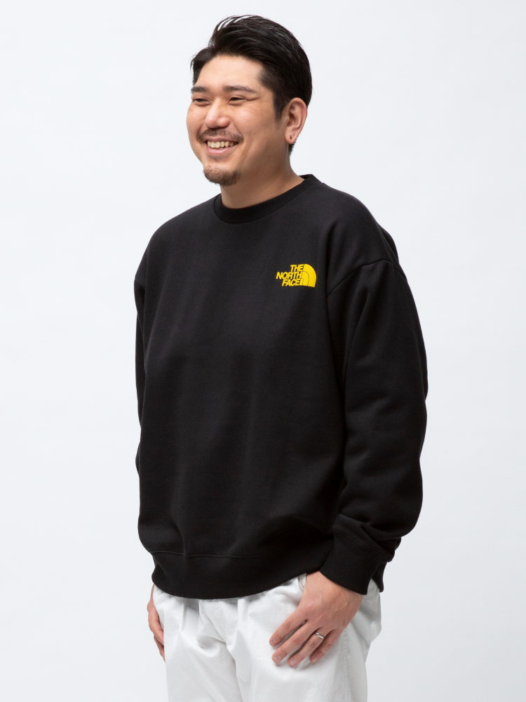 大きいサイズ メンズ THE NORTH FACE (ザ ノースフェイス) 裏起毛
