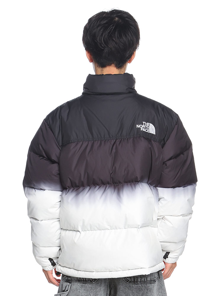 THE NORTH FACE (ザ ノースフェイス) 700フィルパワー フード収納