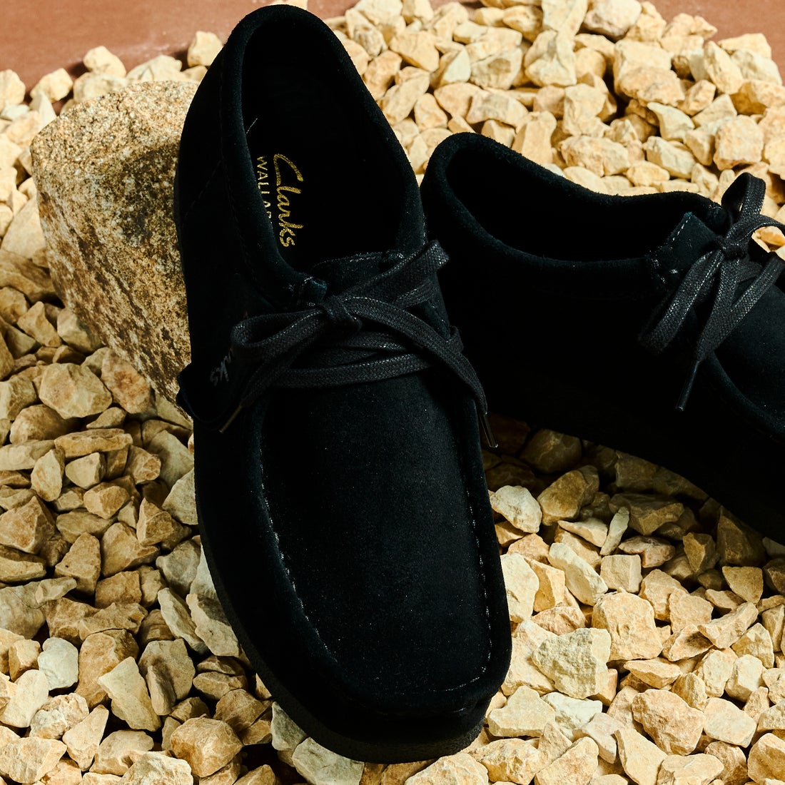 Clarks WallabeeEVO / ワラビーエヴォ （ブラックスエード