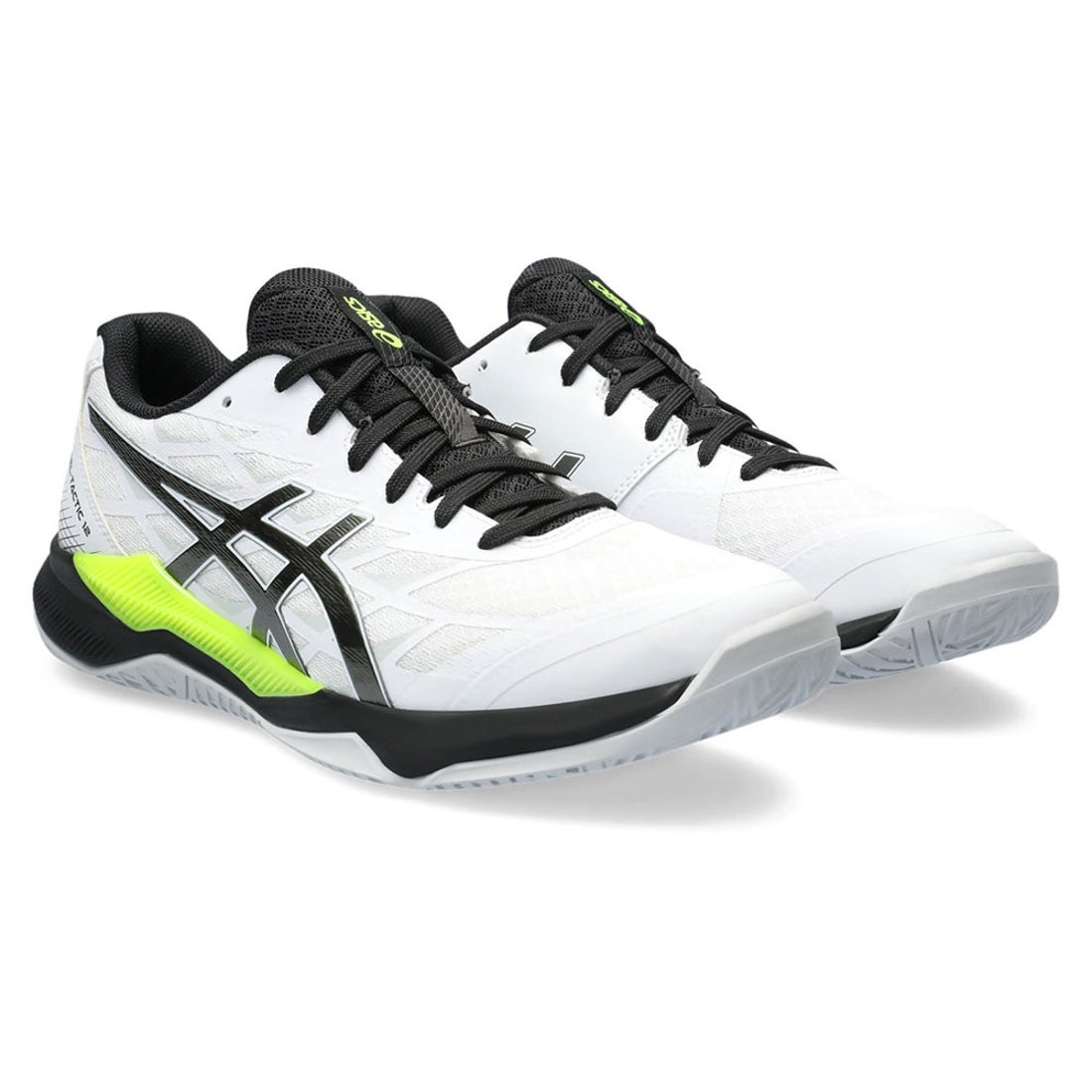 ASICS アシックス GEL-TACTIC 12【STANDARD】 （ホワイト/ガンメタル