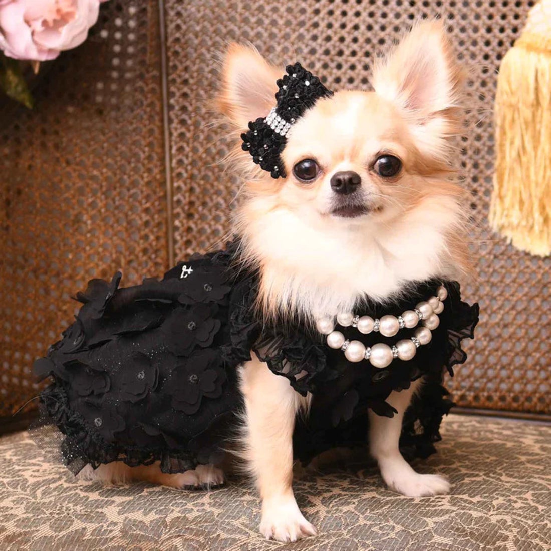 バーディ BIRDIE Luxe birdie デビュタントドレス L ブラック【返品