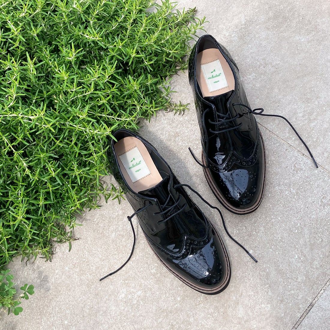 エンチャンテッド enchanted 本革ウイングチップレースアップシューズ