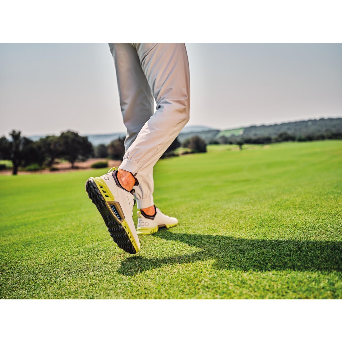 エコー ECCO メンズ BOA 防水 ゴルフシューズ バイオム シーフォー