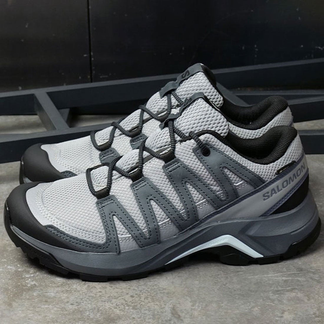 サロモン SALOMON X-ADVENTURE RECON GTX W MONUMENT/TURBULENCE