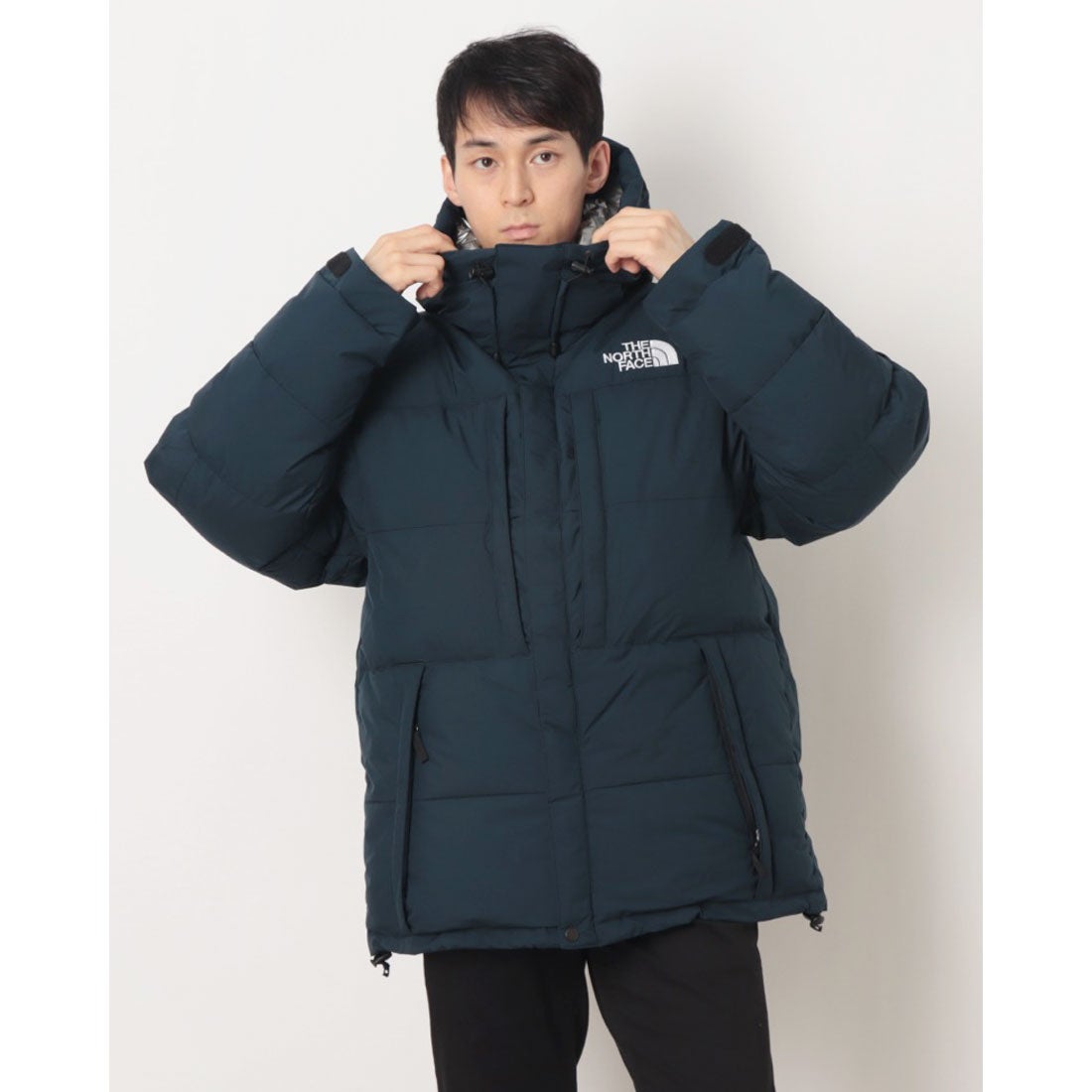 ザ・ノース・フェイス THE NORTH FACE アウトドアカジュアル ダウン