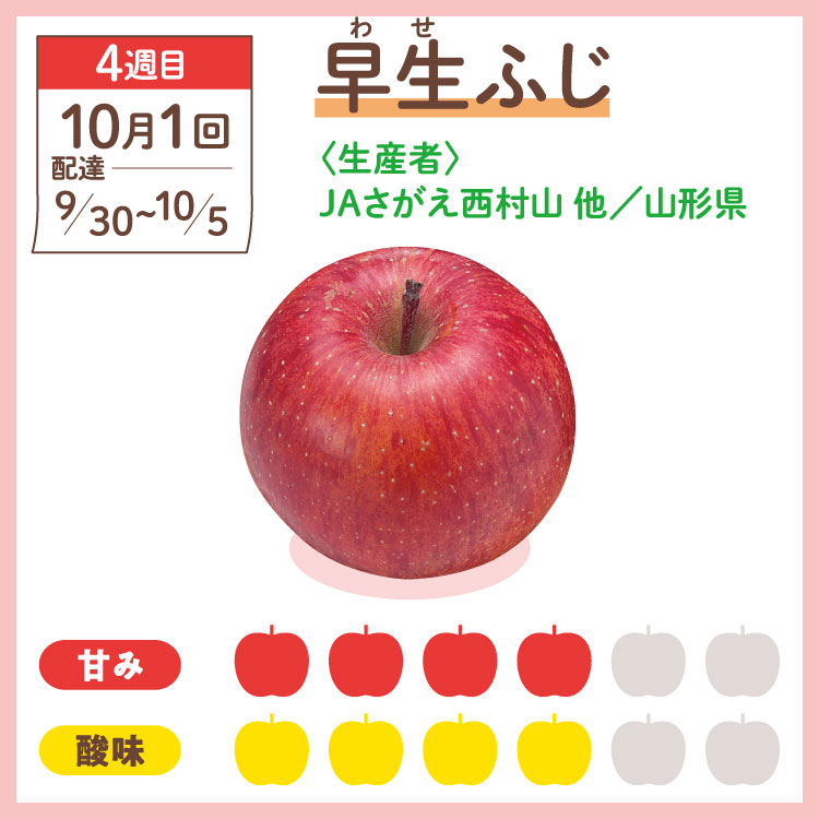 apple_08.jpg