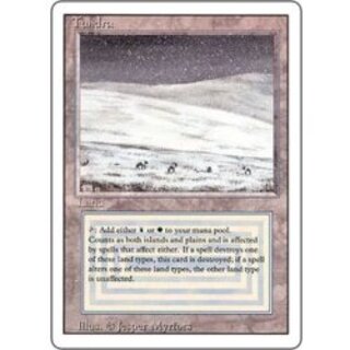 MTG(デュアルランド)のカード販売・通販 | magi