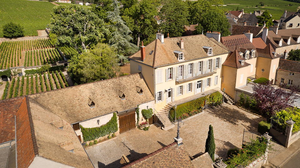 Taupenot-Merme: Mazoyères-Chambertin 2002-2017 (Aug 2020)