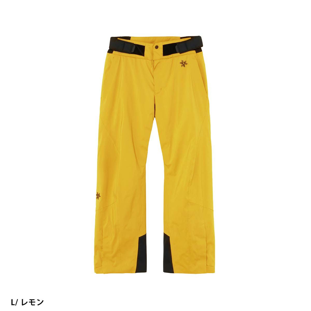 スキーウェア スキーパンツ パンツ ゴールドウイン Goldwin メンズ