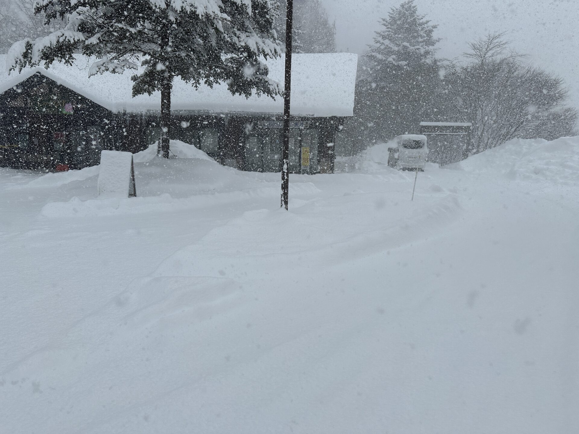 今シーズン初めての大雪です 2025年2月8日撮影 – 【公式】草津温泉