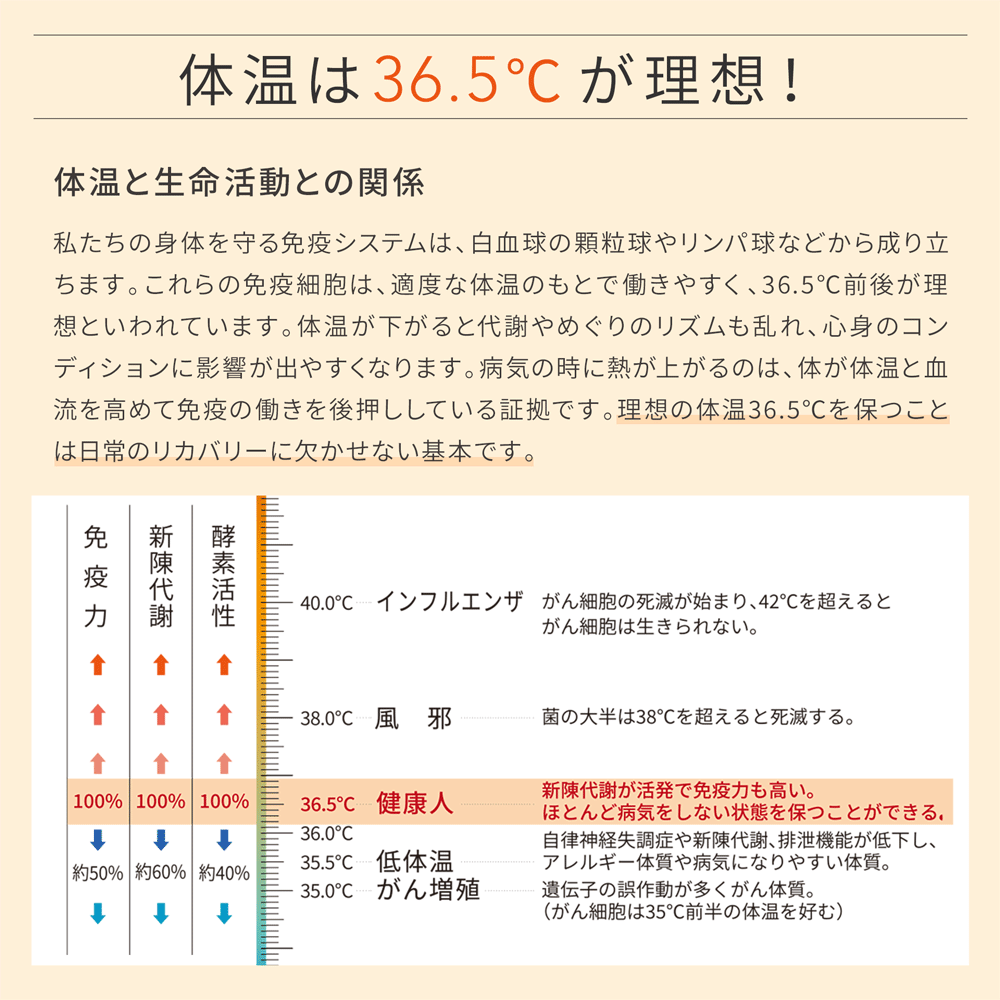 復元ウォーマー：はんてん【10%OFFセール】 – LOUVREDO直営 公式