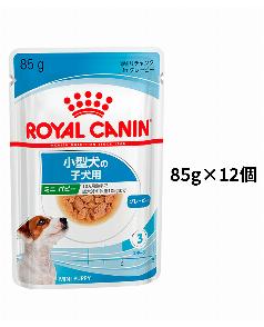 ロイヤルカナン 柴犬 成犬用 8kg（3182550823913）｜犬フード・おやつ