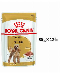 ロイヤルカナン 柴犬 成犬用 8kg（3182550823913）｜犬フード・おやつ