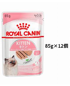 ロイヤルカナン セイバー エクシジェント 2kg（3182550717137）｜猫