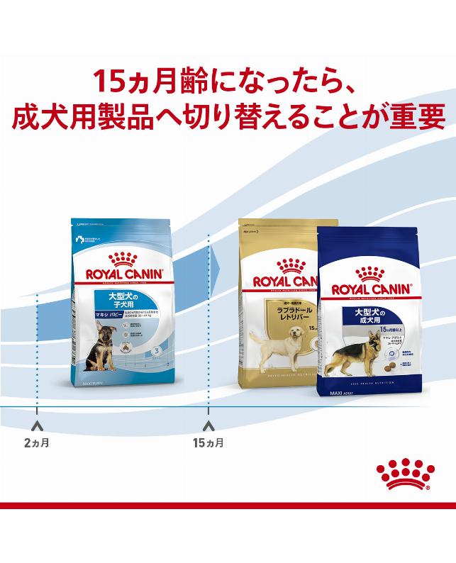 取り寄せ品】ロイヤルカナン マキシパピー 4kg（3182550402149）｜犬