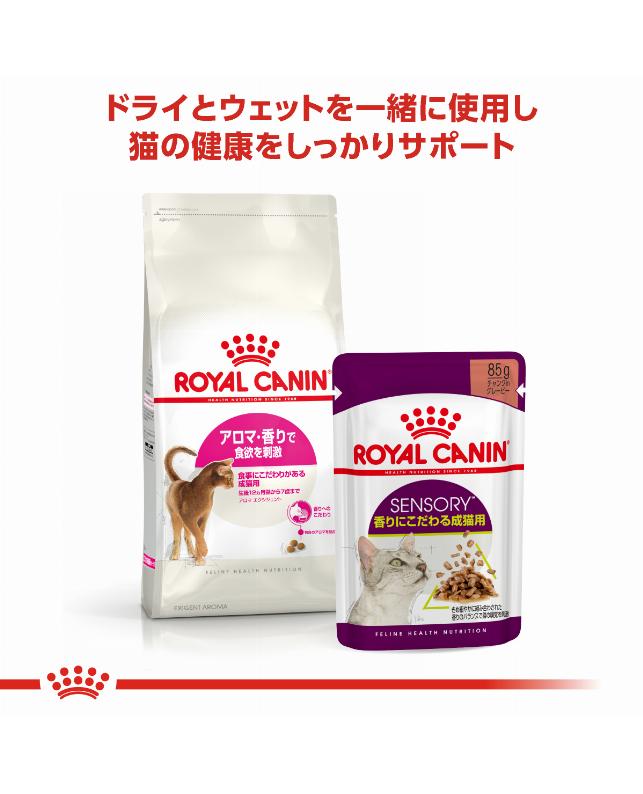 ロイヤルカナン アロマ エクシジェント 400g（3182550767262）｜猫