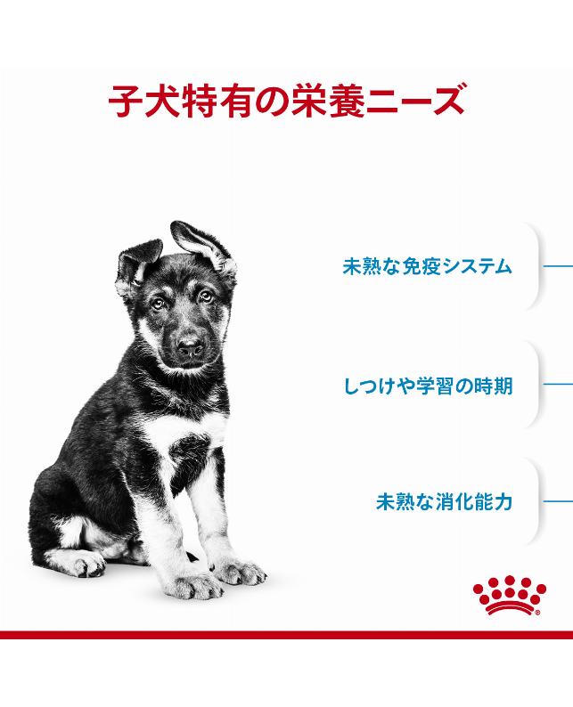 取り寄せ品】ロイヤルカナン マキシパピー 10kg（3182550778305）｜犬