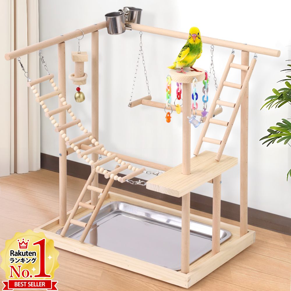 楽天市場】【半額&5%OFFクーポン配布4日20時〜 利用条件あり】 インコ