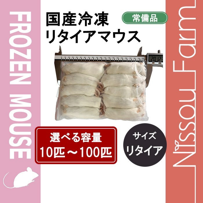 楽天市場】国産冷凍マウス ファジーL 即日発送 同梱可 選べる容量 10匹