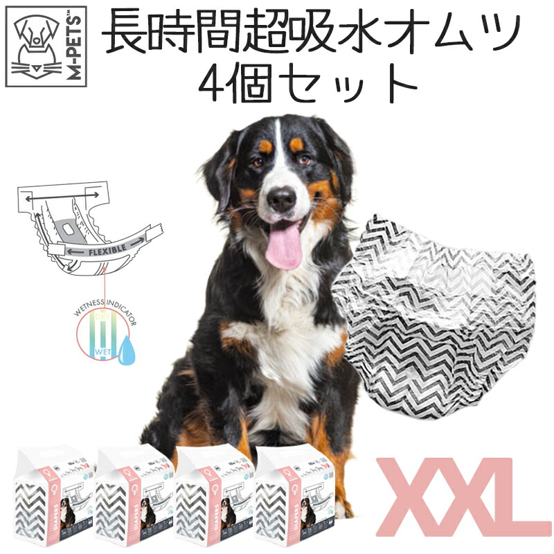 楽天市場】大型犬 オムツ カバー女の子 メス 長時間 超吸収 おしゃれ