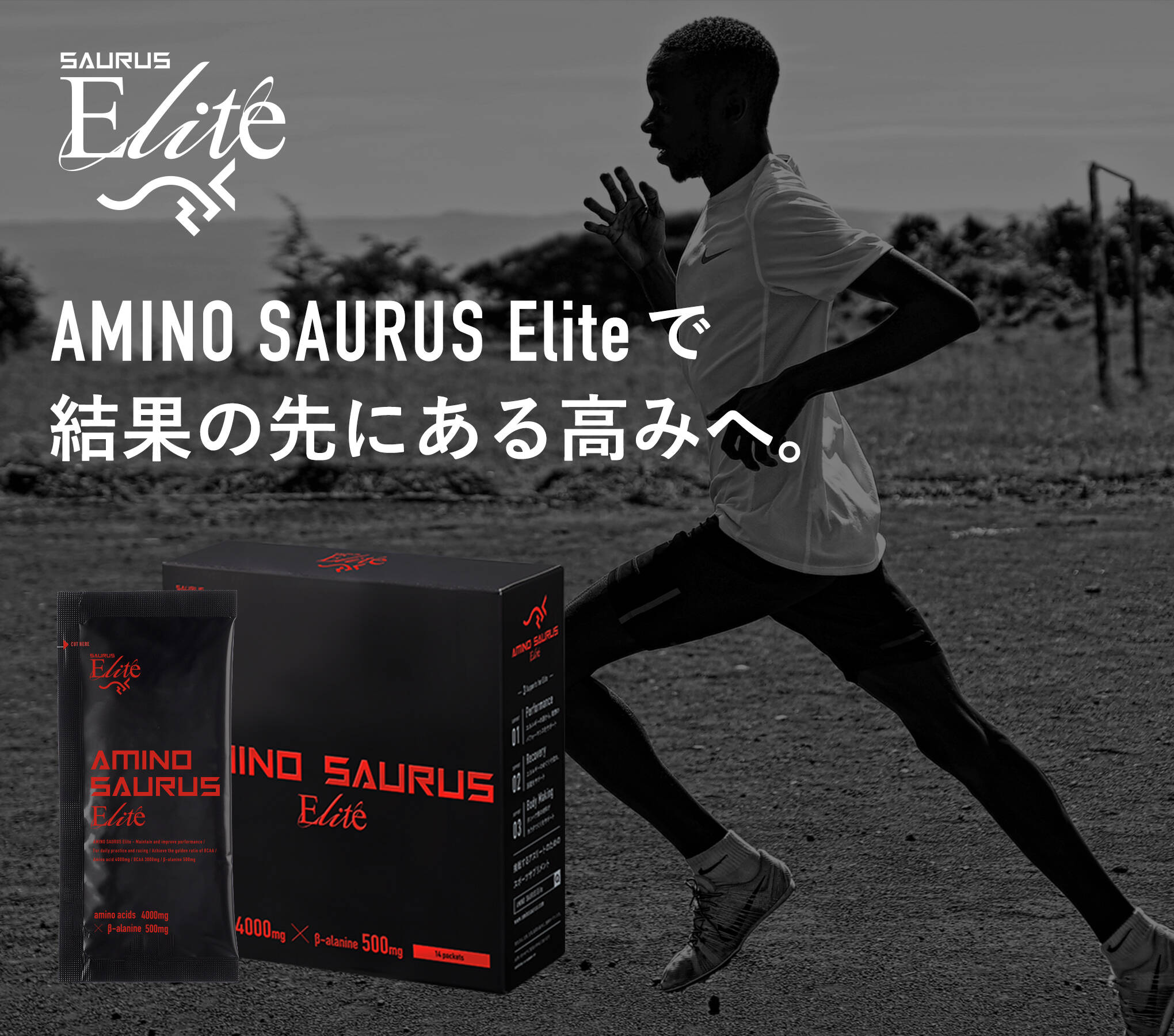 □ 公式 □ AMINO SAURUS/アミノサウルス サプリメント SS008 AMINO