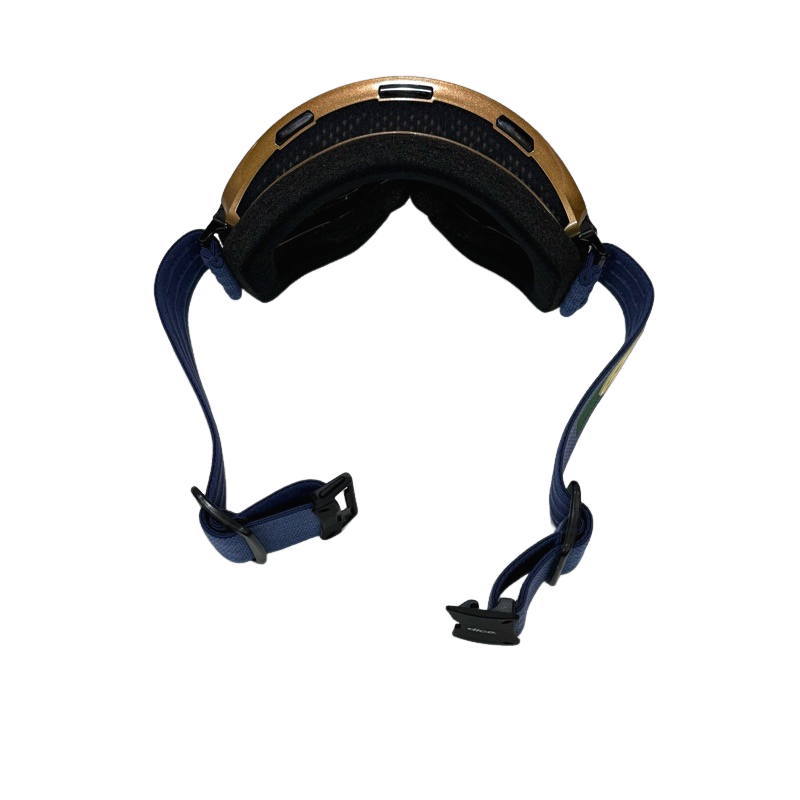 BANK 25-26 DICE カラー:BRZ レンズ:調光×ULTRAライトグレイ