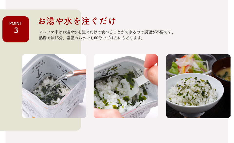 尾西食品 調理不要 防災 尾西のアルファ米 白飯 1袋100g ×5袋 5年保存