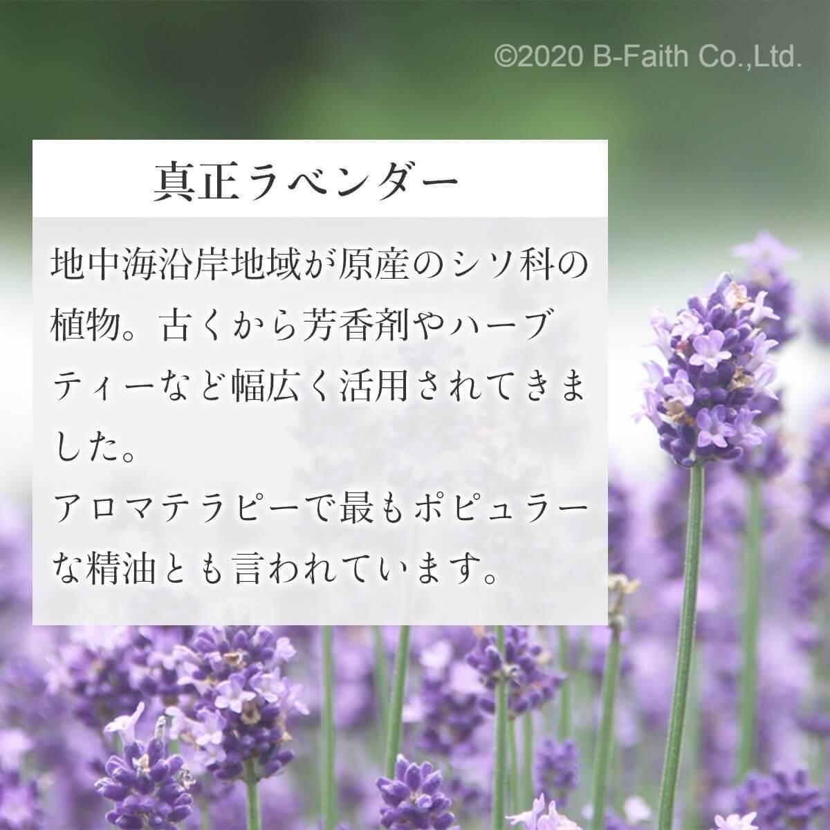 真正ラベンダー オイル 10ml 精油 アロマオイル エッセンシャルオイル