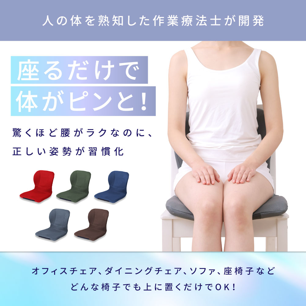 p!nto（ピント） 最新モデル pinto W 日本製 骨盤 姿勢矯正 クッション