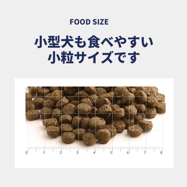 FISH4DOGS FINEST フィッシュフォードッグ ファイネスト オーシャン