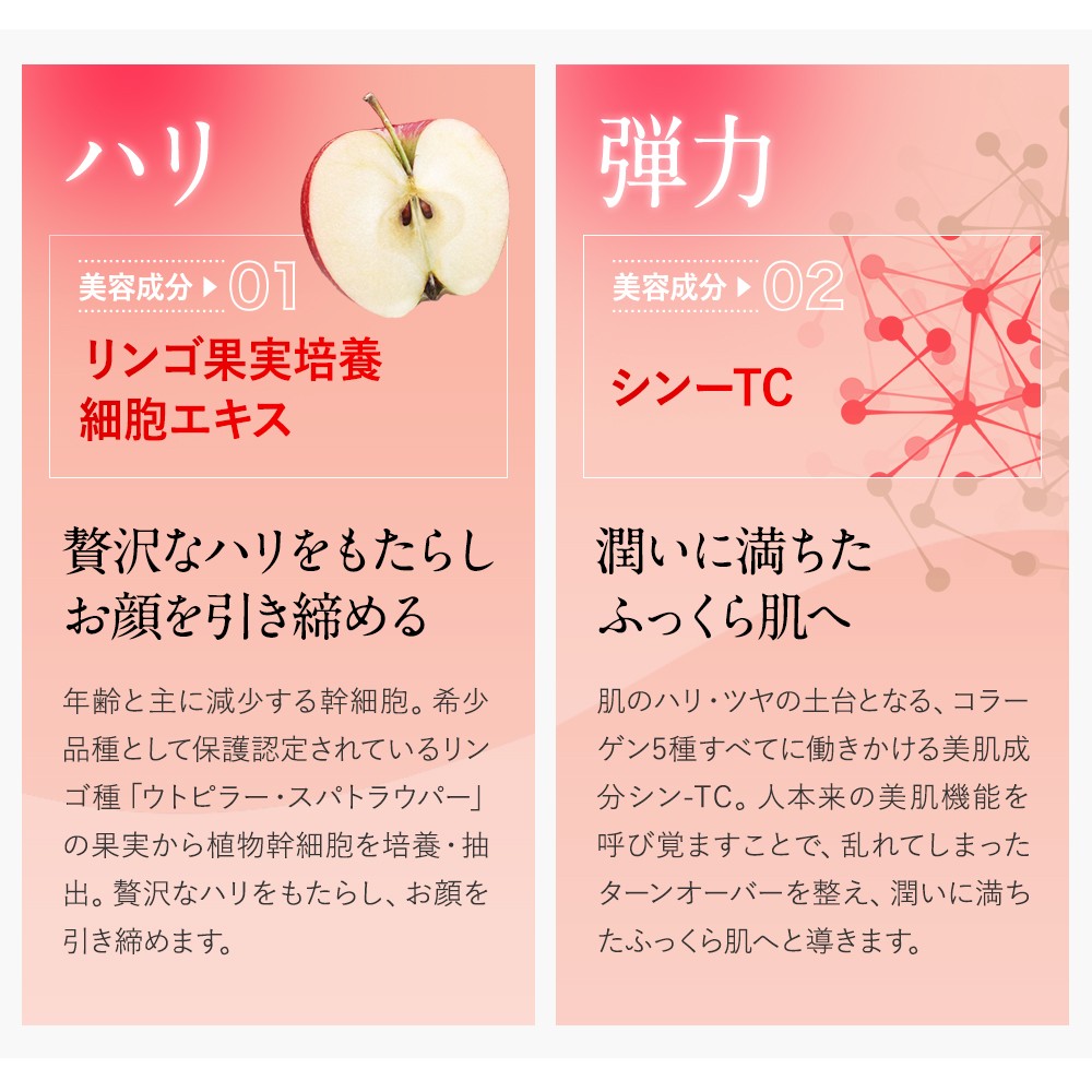 エニシー グローパック 10回分 2個セット 【リニューアル前商品】 送料