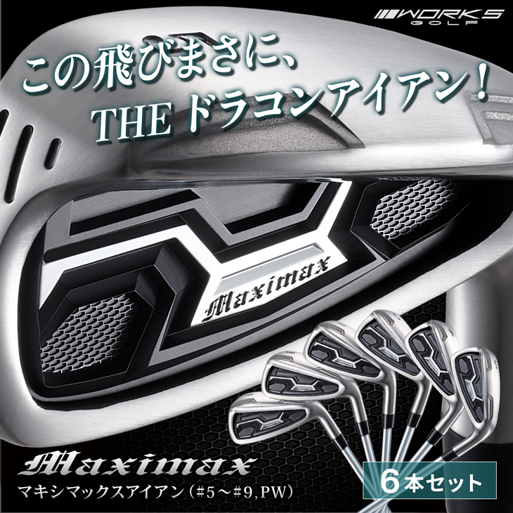 ワークスゴルフ ゴルフ クラブ アイアンセット 6本 5I 6I 7I 8I 9I PW