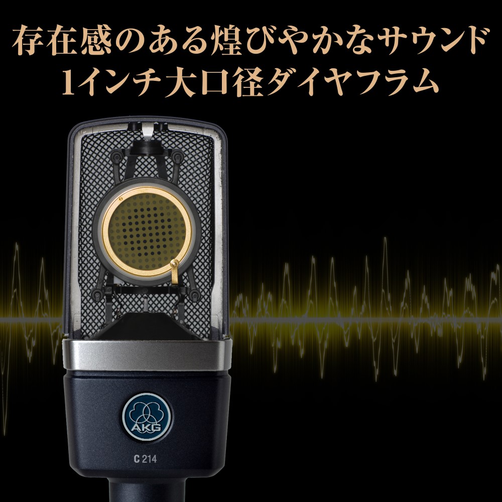 AKG AKG C214-Y4 コンデンサーマイク | ボーカル レコーディング