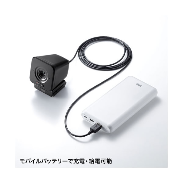 SANWA SUPPLY（サンワサプライ） ワイヤレスWEBカメラ CMS-V65BK/srm