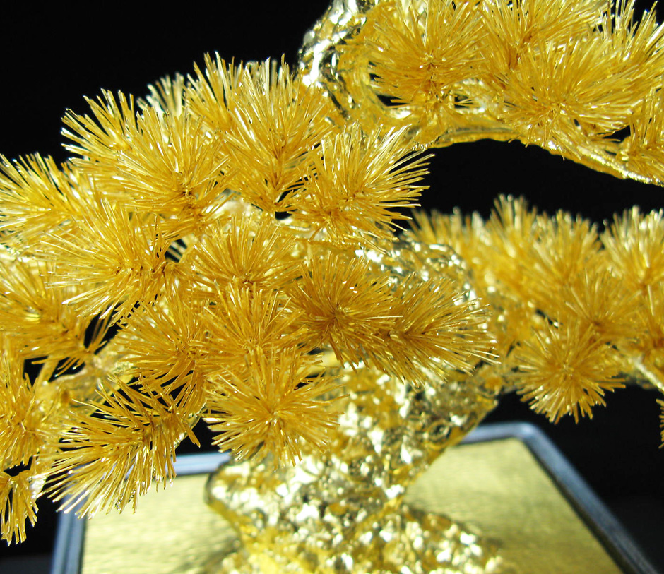 盆栽 松 Lサイズ｜純金製置物/ガラスケース 9号 : HIKARI GALLERY