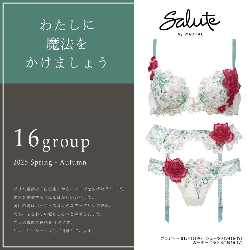サルート（SALUTE） ワコール BTJ716 Wacoal salute 16グループ 16G