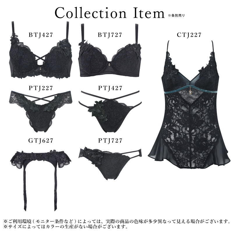 サルート（SALUTE） ワコール ガーターベルト GTJ627 Wacoal salute 27