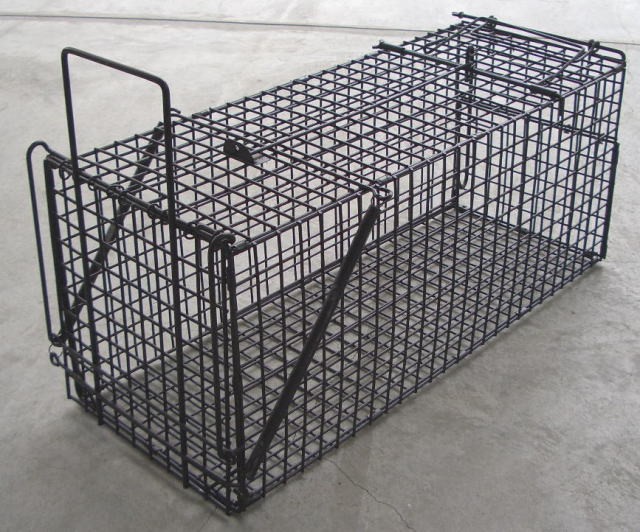 小動物キャッチャー TA36 動物捕獲器(フック式・外バネ式) 箱わな