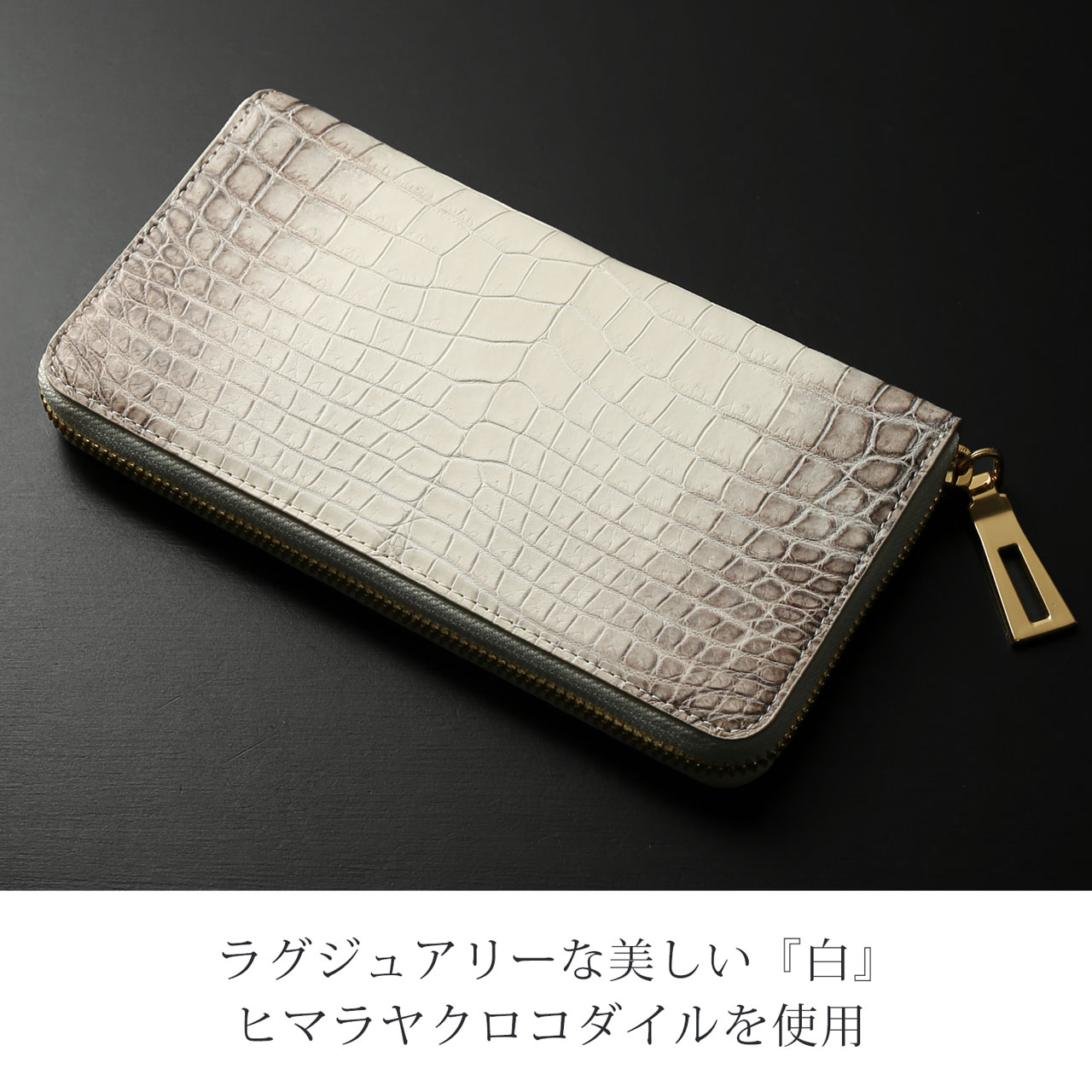 sankyo shokai（三京商会） [10%offクーポン]ヒマラヤクロコダイル