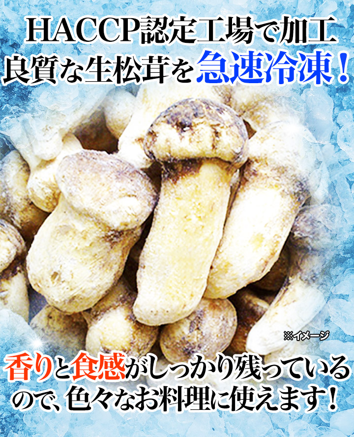 マツタケ まつたけ 天然 快適生活 天然高級 松茸つぼみ 250g つぼみ