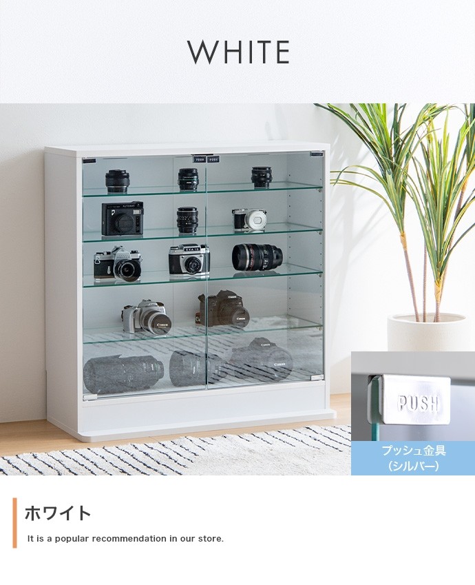 コレクションケース ディスプレイケース コレクションボックス ガラス