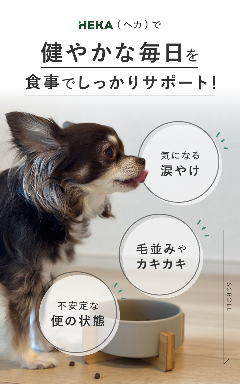 HEKA 【お得な大容量】 犬 グレインフリー サーモン 10kg ドライフード