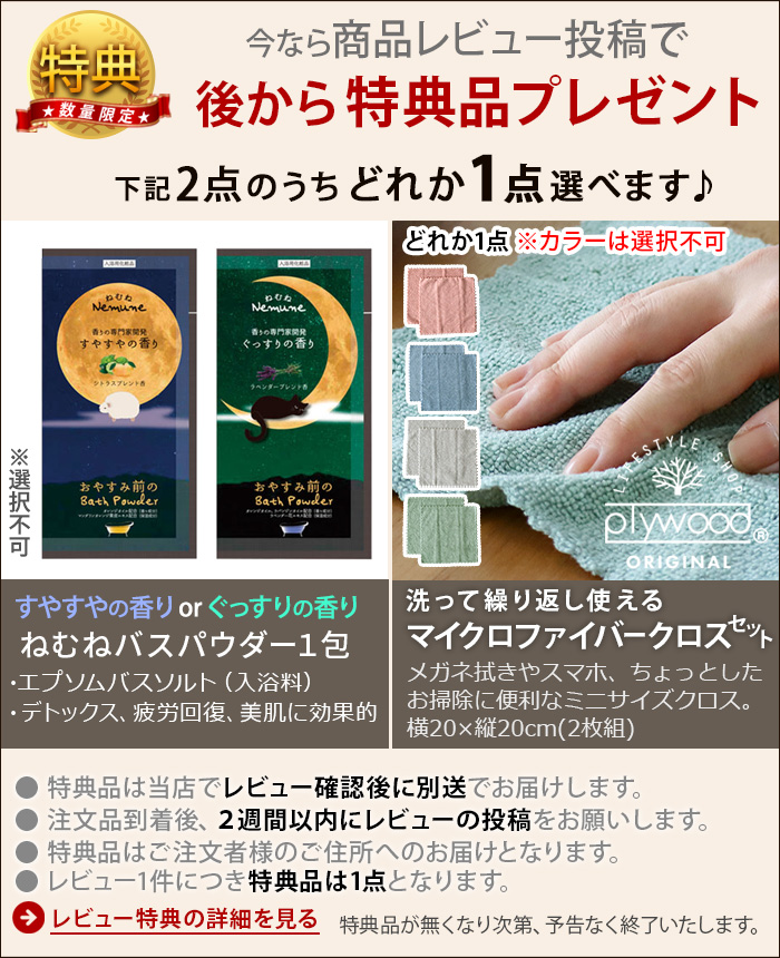 FESTINO（フェスティノ） 【2大特典付】正規店 スチーマー 美顔器 顔