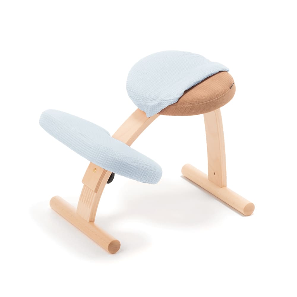 バランスラボ バランスチェア バランスチェアー バランスイージー