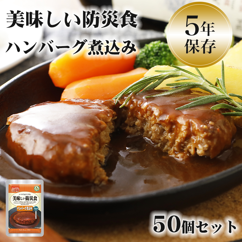 非常食 おかず 5年保存 ハンバーグ煮込み おいしい レトルト 保存食