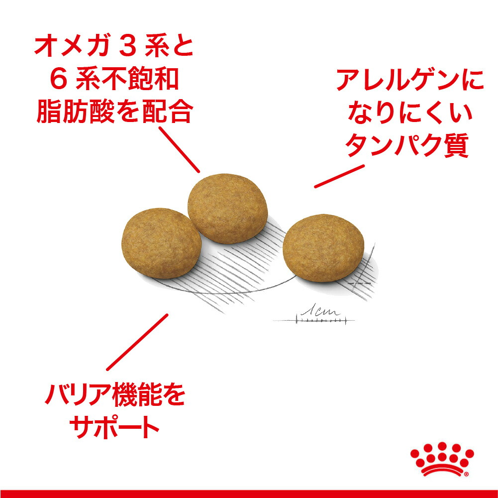 ケーナイン ケア ニュートリション ロイヤルカナン CCN マキシ ダーマ