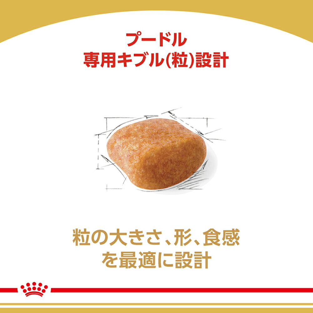 ブリード ヘルス ニュートリション ロイヤルカナン BHN プードル 成犬