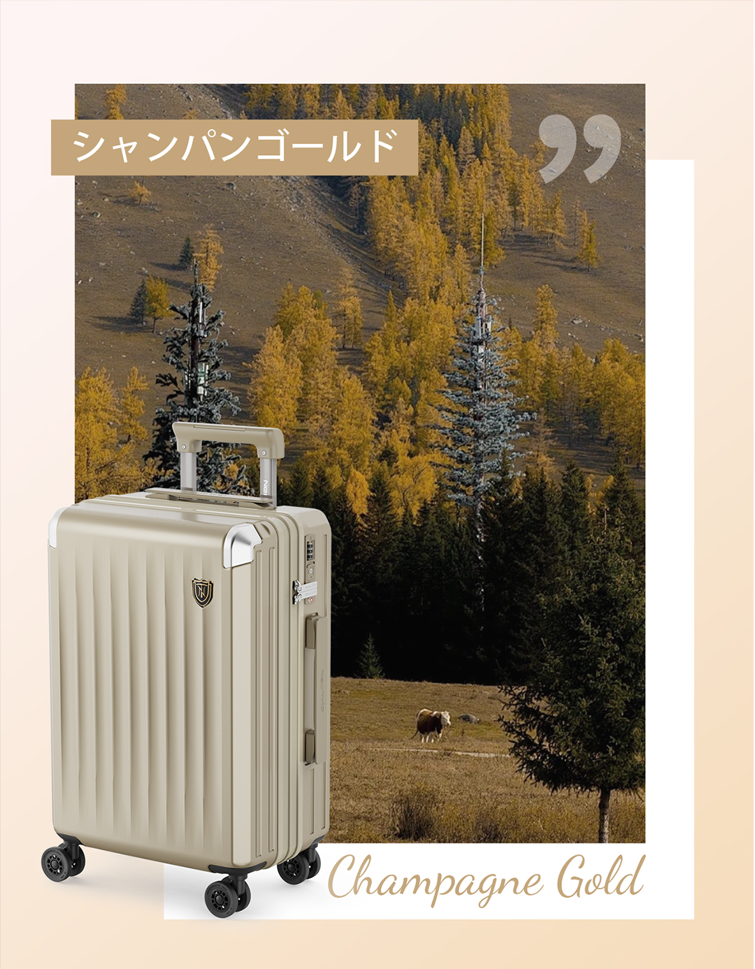 New Trip スーツケース キャリーケース 機内持ち込み 拡張機能付き