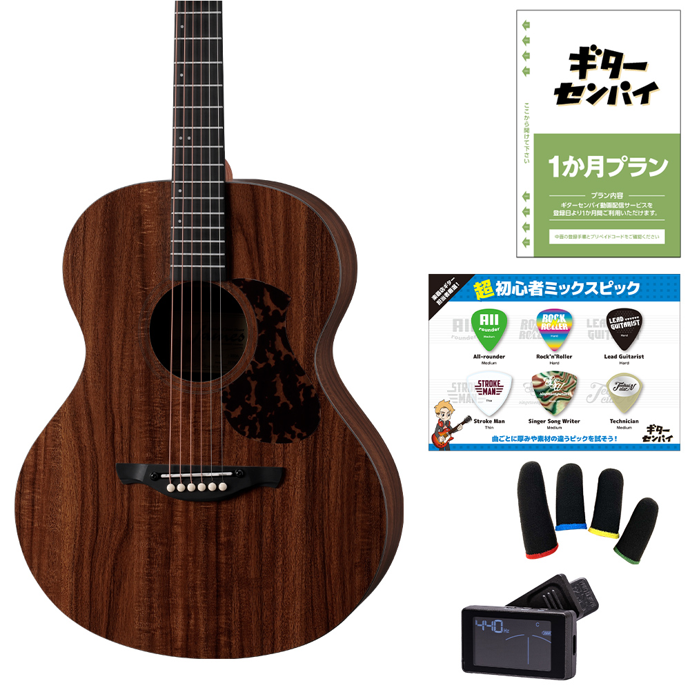 ジェームス（James） ギターを挫折したくないあなたへ J-100A 超初心者